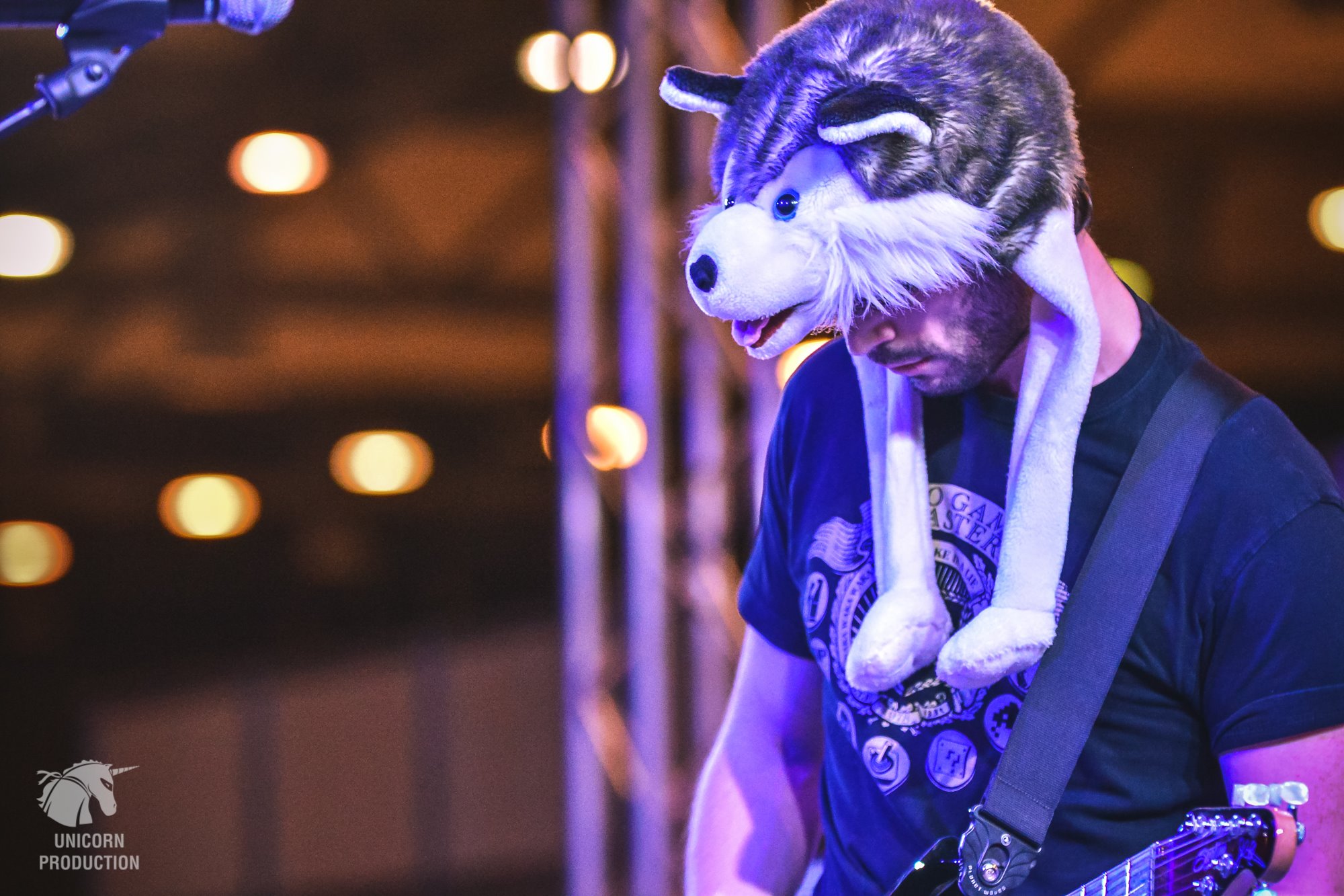 Husky With His Signature Husky Hat