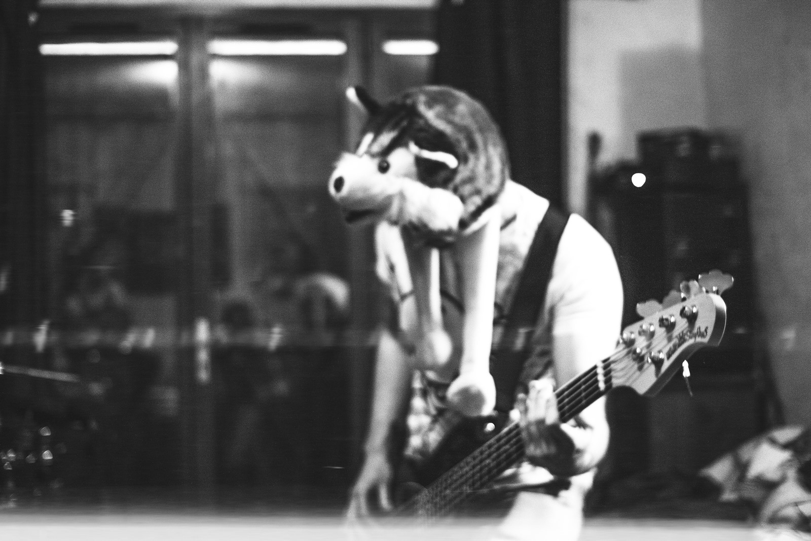 Husky Practising The Guitar