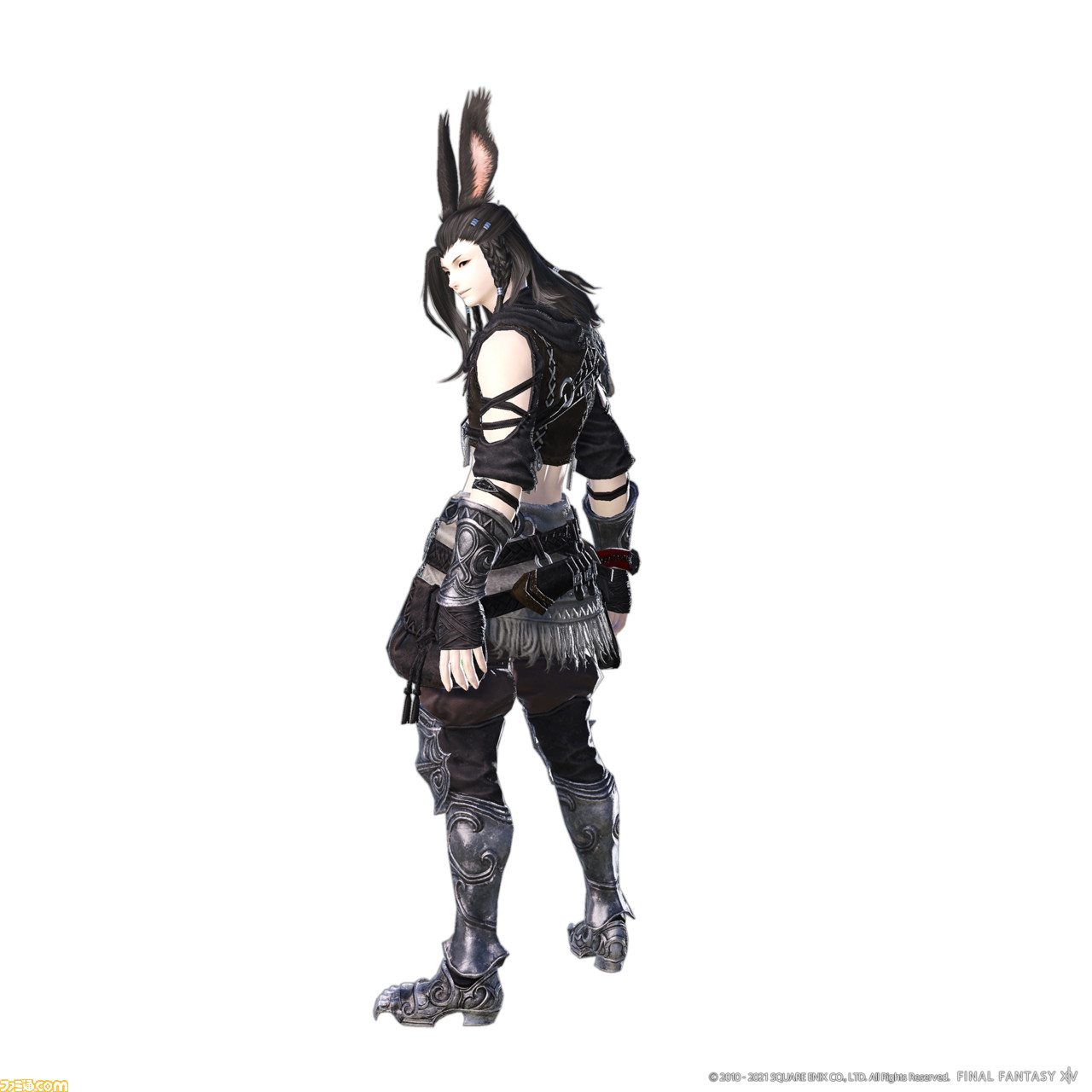 Male Viera Render